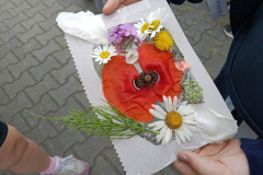 IMG-20250606-WA0031
