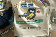 IMG-20250606-WA0032