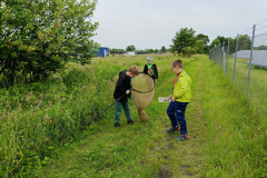 IMG-20250610-WA0067