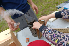 IMG-20250610-WA0071