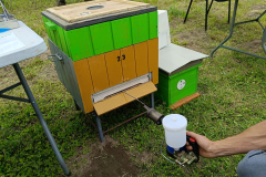 IMG-20250610-WA0079