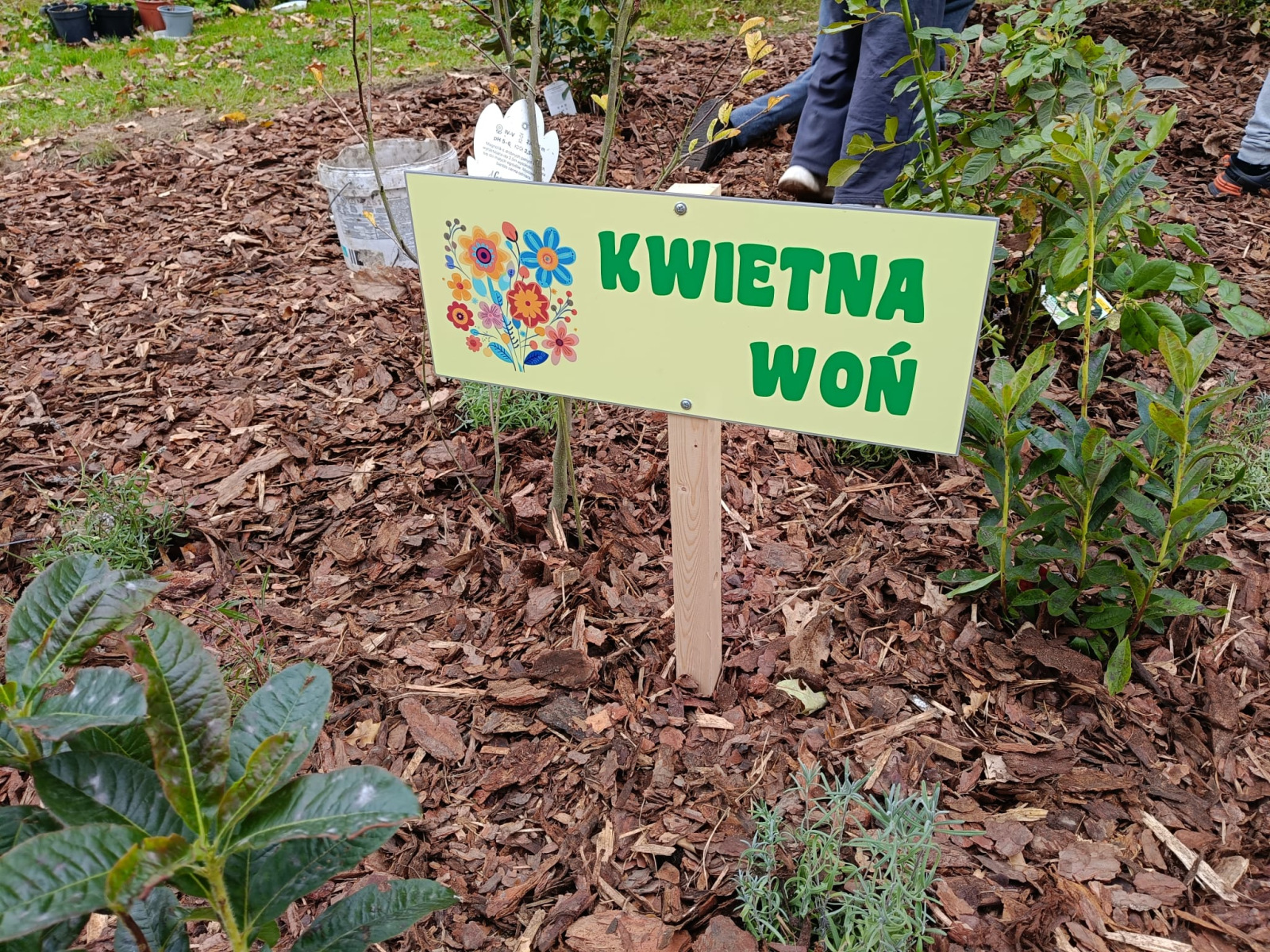 IMG-20251021-WA0033