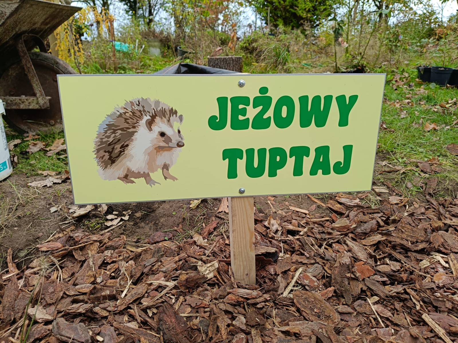 IMG-20251021-WA0037