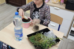 IMG-20250620-WA0032
