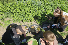IMG-20250429-WA0019