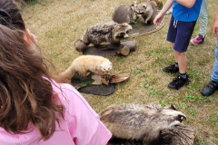 IMG-20250625-WA0023