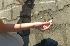 IMG-20250922-WA0019