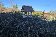 IMG-20250429-WA0022