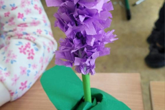 IMG-20250526-WA0044