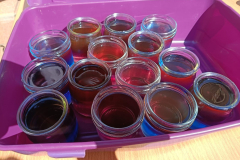 IMG-20250615-WA0000