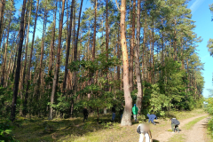 IMG-20250926-WA0001