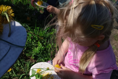 IMG-20250418-WA0015