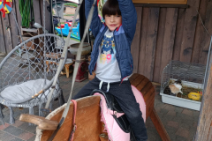 IMG-20250526-WA0016