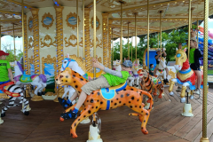 IMG-20250621-WA0039