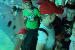 IMG-20250617-WA0040
