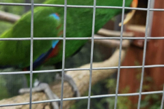 IMG-20250624-WA0001