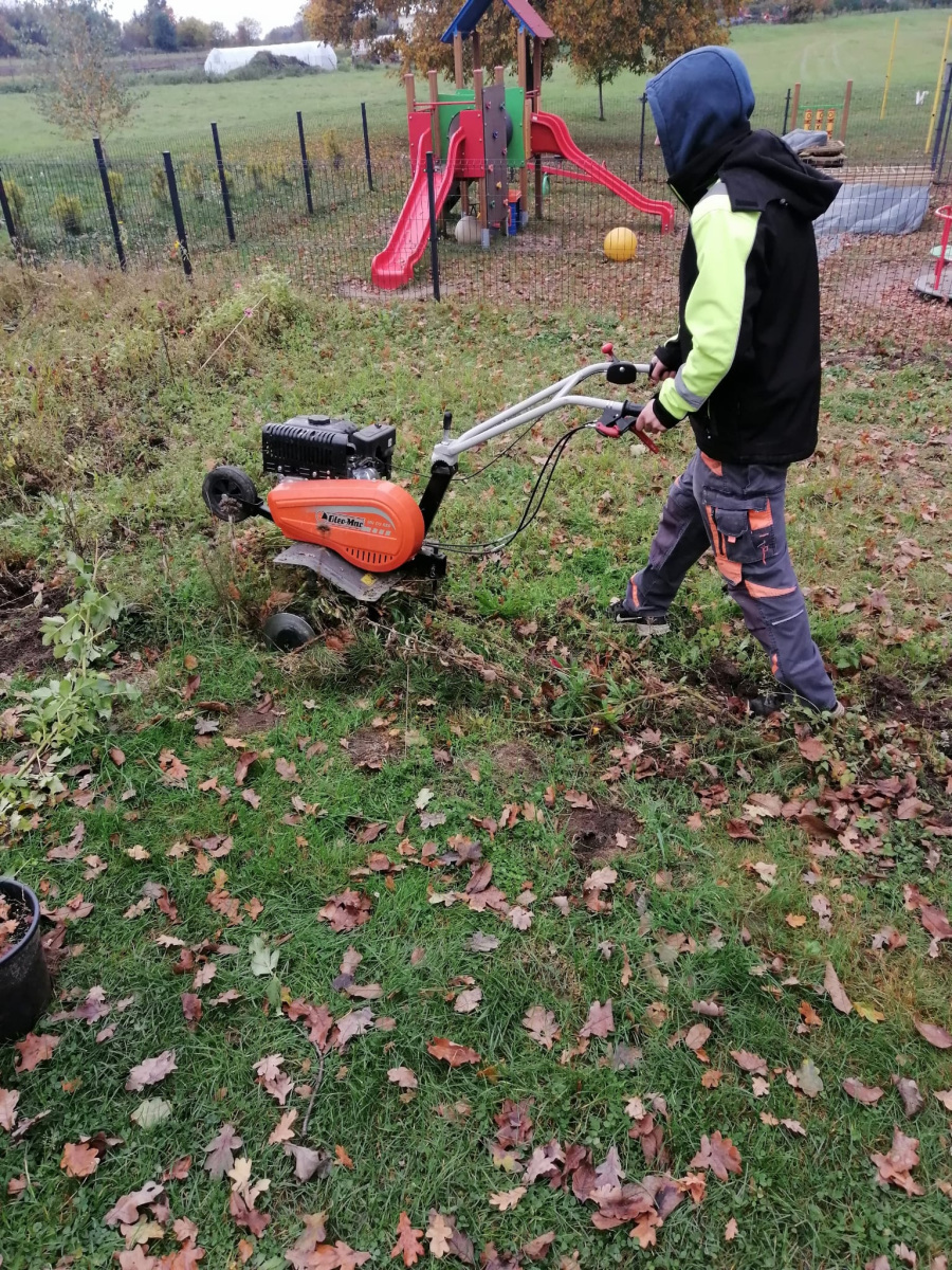 IMG-20251017-WA0010
