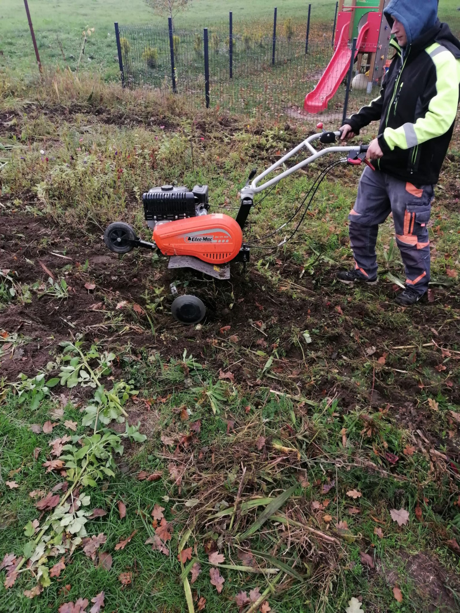 IMG-20251017-WA0015